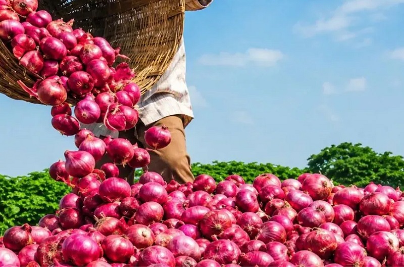 मिडिल ईस्ट तनाव का असर….कच्चे तेल ने बिगाड़ा खेल, गेहूं-प्याज की कीमतों में भारी उछाल
