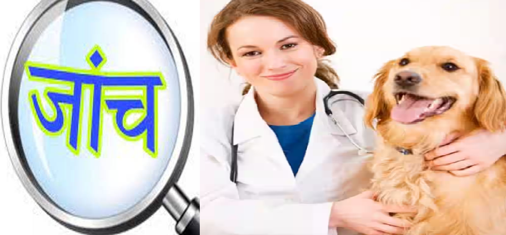 मध्य प्रदेश में 150 पशु चिकित्सा अधिकारियों ने ट्रांसफर नीति पर उठाए सवाल, जांच के बाद निर्णय का आश्वासन