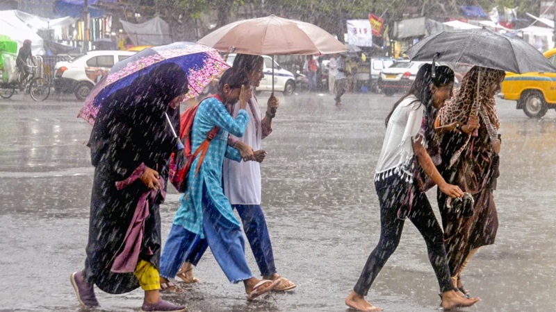 MP में आज 3 जिलों में भारी बारिश की चेतावनी, भोपाल-इंदौर समेत 52 जिलों में बूंदाबांदी के आसार