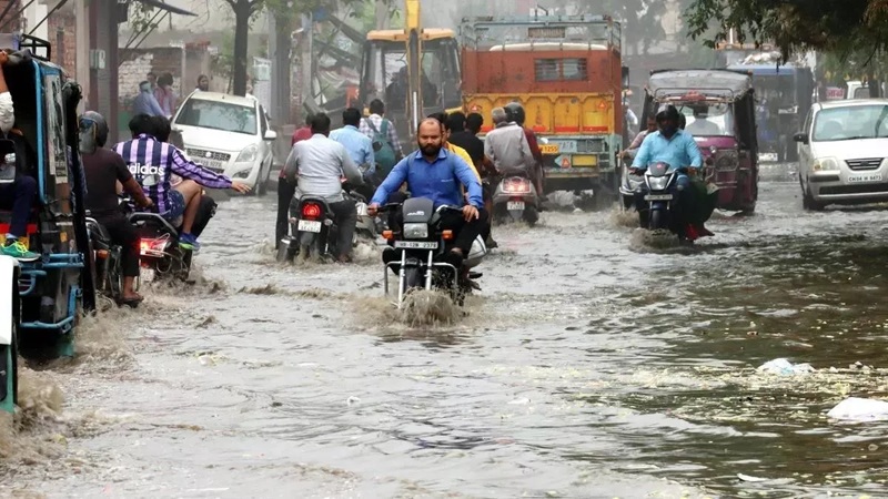 MP में भारी बारिश का दौर, 4 जिलों में स्कूल बंद, कई इलाकों में बाढ़ जैसे हालात