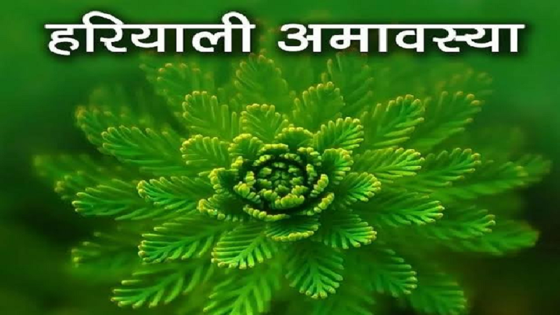 हरियाली अमावस्या पर राशि अनुसार करें दान, मेष से मीन तक जानें कौन सी चीज चढ़ाएगी पुण्य और सौभाग्य