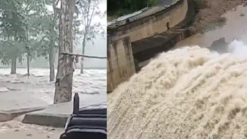 MP Weather Alert: पूर्वी हिस्से में भारी बारिश का खतरा रीवा-बालाघाट समेत 14 जिलों में अलर्ट बांधों पर भी बढ़ा दबाव