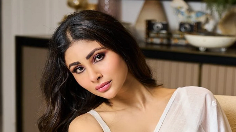 Bigg Boss 20 को लेकर बड़ा अपडेट, मौनी रॉय का नाम चर्चा में; मेकर्स ने दिया भारी भरकम फीस का ऑफर