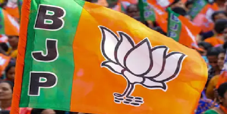 भाजपा युवा मोर्चा में संगठन विस्तार की रफ्तार तेज, 12 जिलाध्यक्षों का ऐलान; अभी भी कई जिलों में नियुक्तियां बाकी