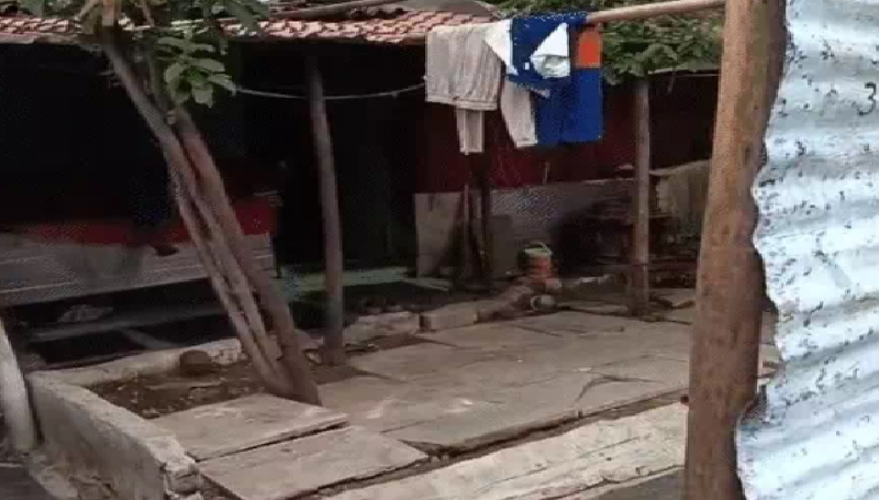 पसंद की शादी करना चाहती थी 17 साल की आयुषी, मां और मामा पर हत्या का आरोप! दुपट्टे से गला घोंटने का दावा