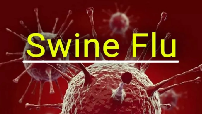 इंदौर में H1N1 से महिला की मौत, भोपाल में 6 केस के बावजूद जांच शुरू नहीं: अस्पतालों में बढ़े खांसी-बुखार के मरीज